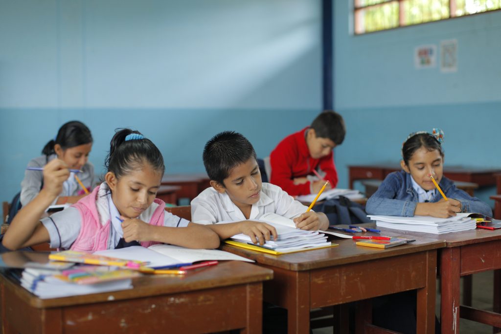 niñosy niñas escolares escriben en sus cuadernos en la sala de clases